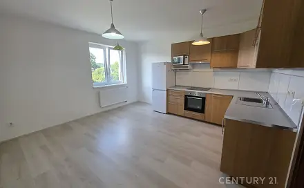 Pronájem bytu 2+kk 58 m², Dobřichovická, Černošice, okres Praha-západ