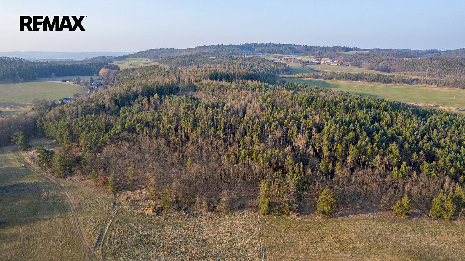 Prodej lesa 14 998 m² – pohled 5