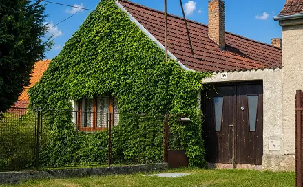 Prodej chaty/chalupy 83 m² s pozemkem 473 m², Hrad, Ledenice, okres České Budějovice
