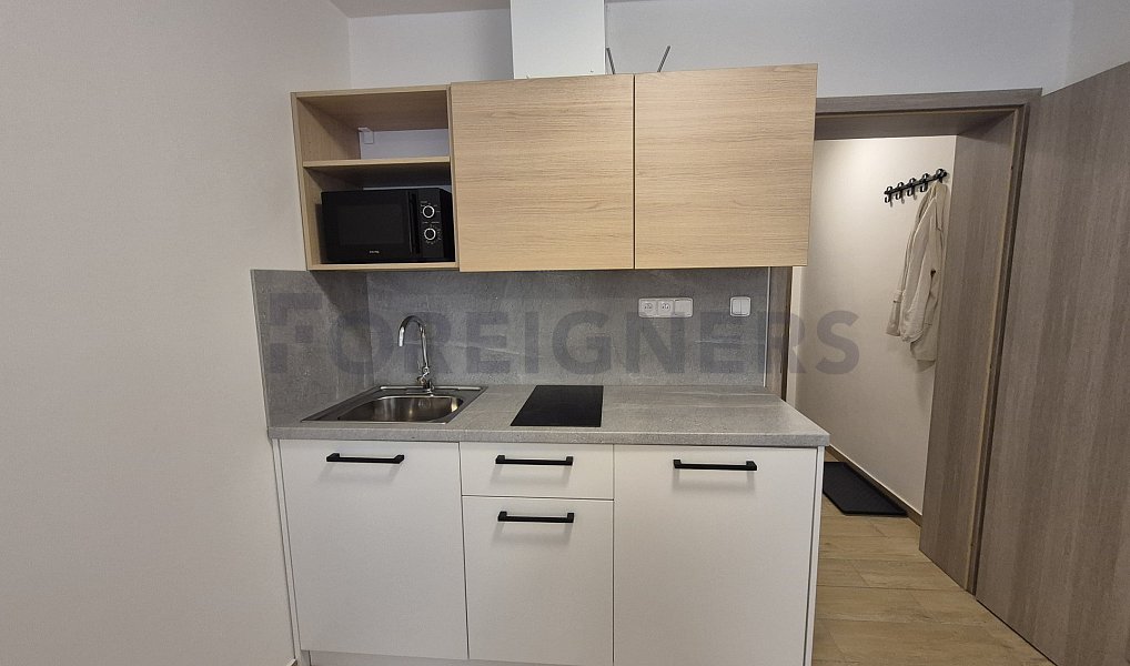 Pronájem bytu 1+kk 25 m², Olomouc – náhled fotky 5