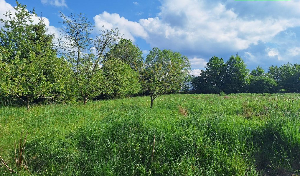 Prodej domu 90 m² s pozemkem 316 m², Dražovice – náhled fotky 11