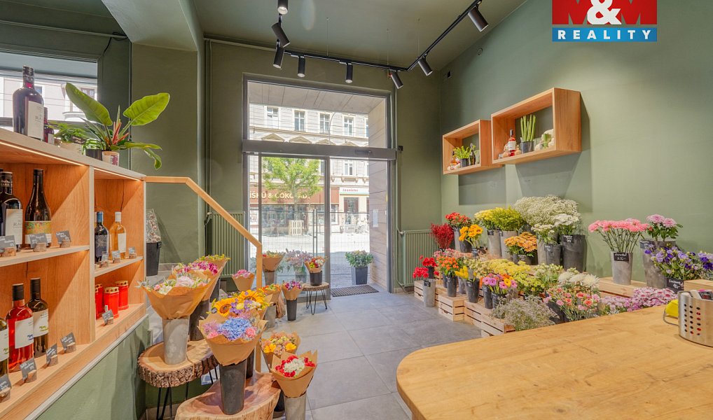 Pronájem obchodních prostor 145 m², Plzeň – náhled fotky 8