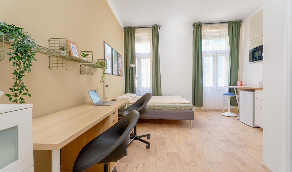 Pronájem bytu 1+kk, 31 m², Nové Město - Praha 2, Praha