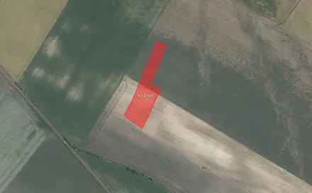 Prodej pole 8 905 m², Jizbice, okres Nymburk