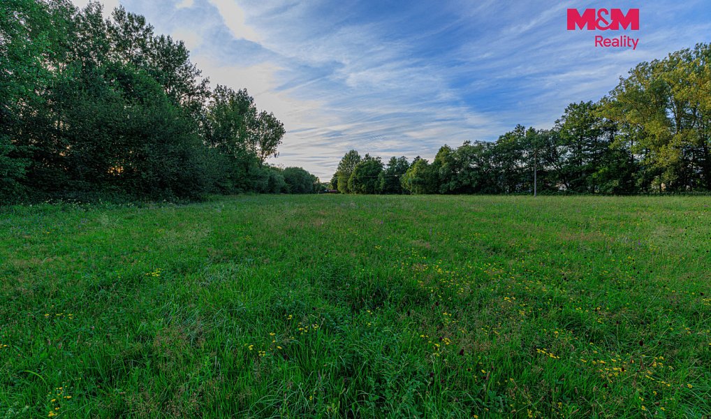 Prodej louky 4 590 m², Horní Bříza – náhled fotky 13