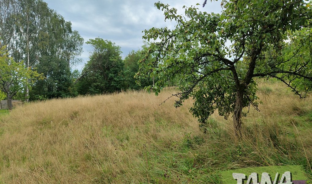 Prodej stavebního pozemku 941 m², Pěnčín – náhled fotky 2