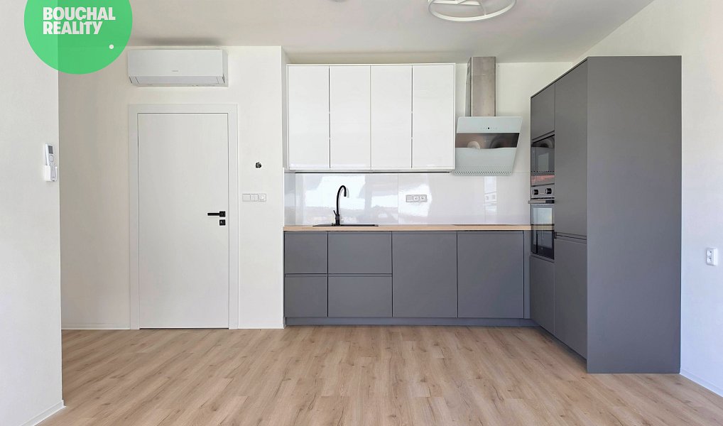 Pronájem bytu 1+kk 55 m², Město Touškov – náhled fotky 2