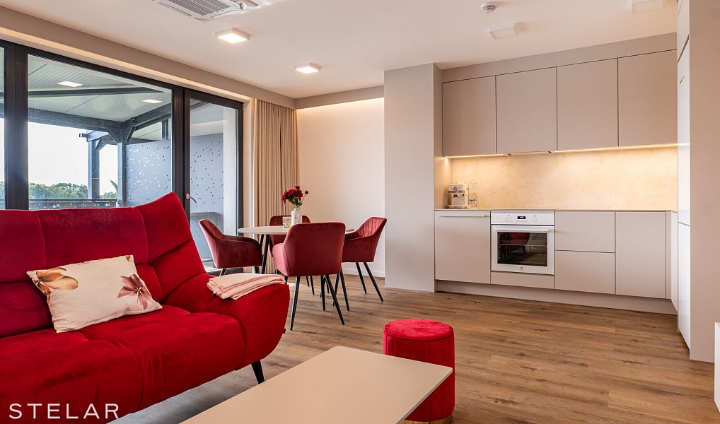 Pronájem bytu 2+kk 51 m², Soběšovice – náhled fotky 3