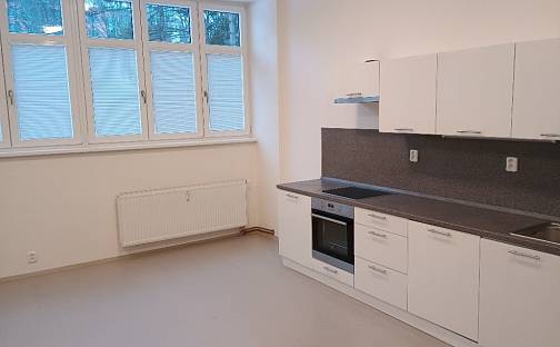 Pronájem bytu 3+kk 89 m², Hrubínova, Litoměřice - Předměstí