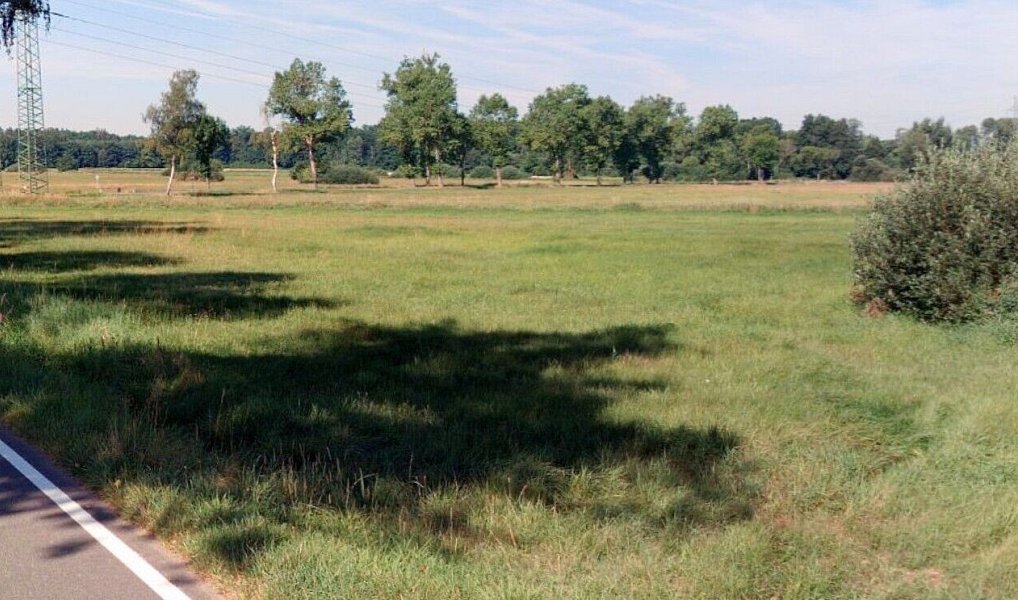 Prodej pole 6 021 m², Vodňany – náhled fotky 4