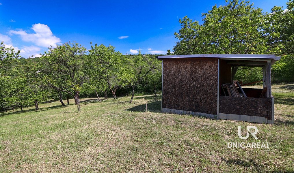 Prodej pole 3 851 m², Židlochovice – náhled fotky 3