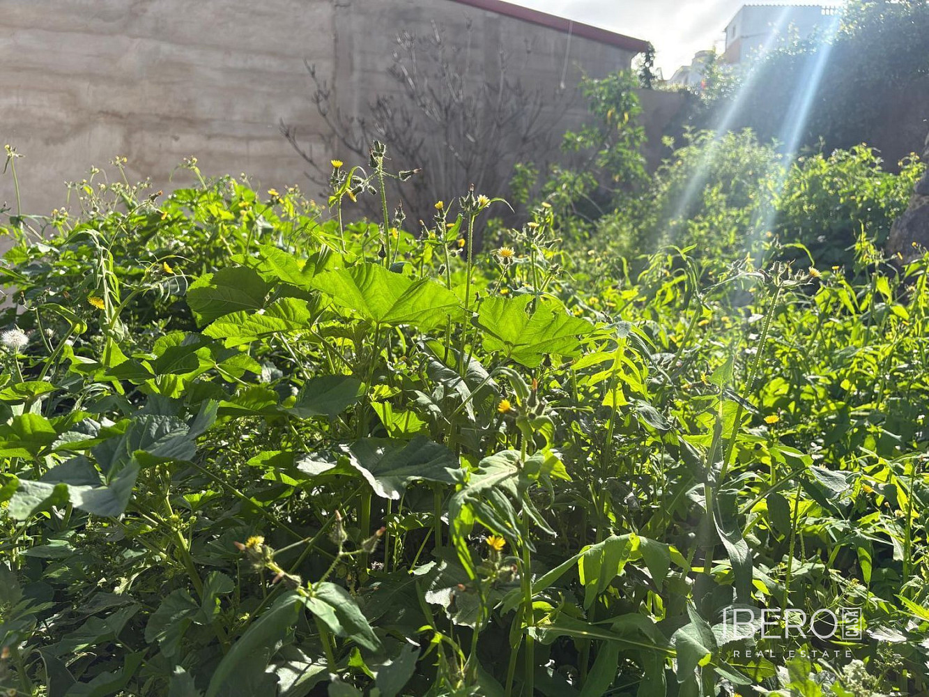 Prodej domu 477 m² s pozemkem 263 m²