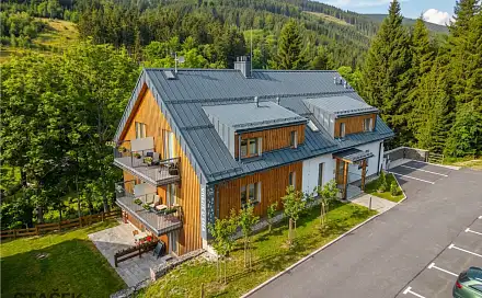 Prodej domu 420 m² s pozemkem 1 320 m², Dolní Morava - Velká Morava, okres Ústí nad Orlicí
