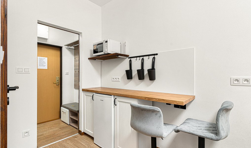 Prodej bytu 1+kk 17 m², Benešov nad Černou – náhled fotky 2