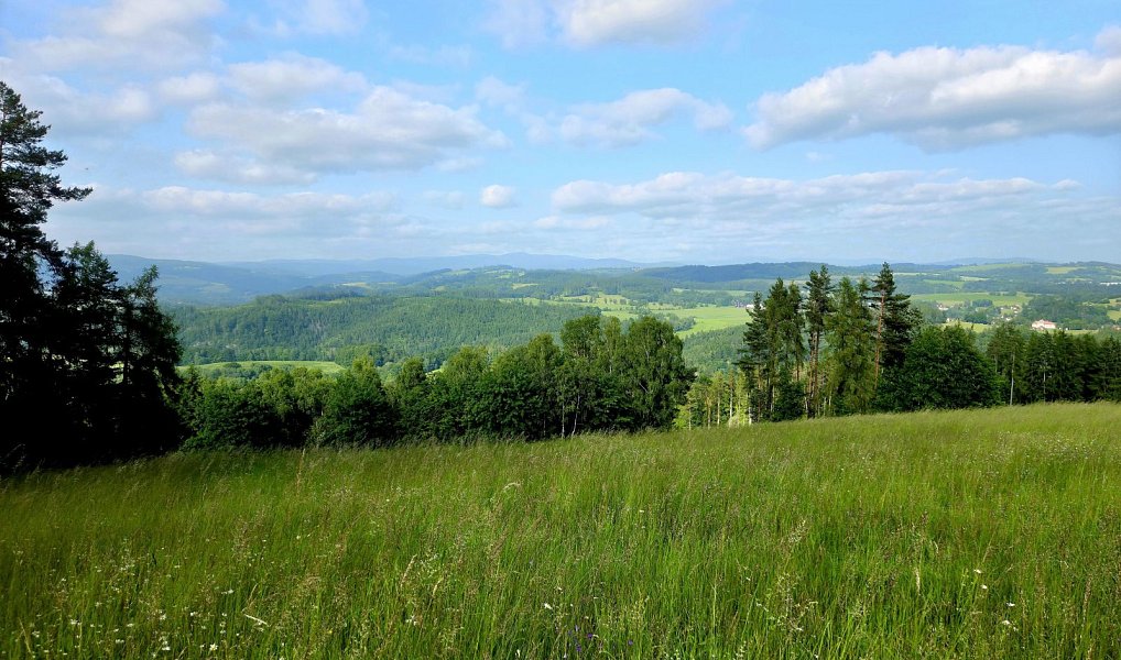 Prodej louky 10 451 m², Vlastiboř – náhled fotky 9