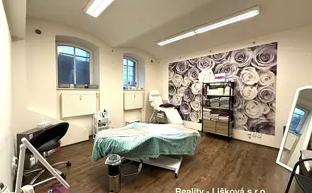 Pronájem komerčního objektu (jiného typu) 50 m², Thomayerova, Ústí nad Labem - Ústí nad Labem-centrum