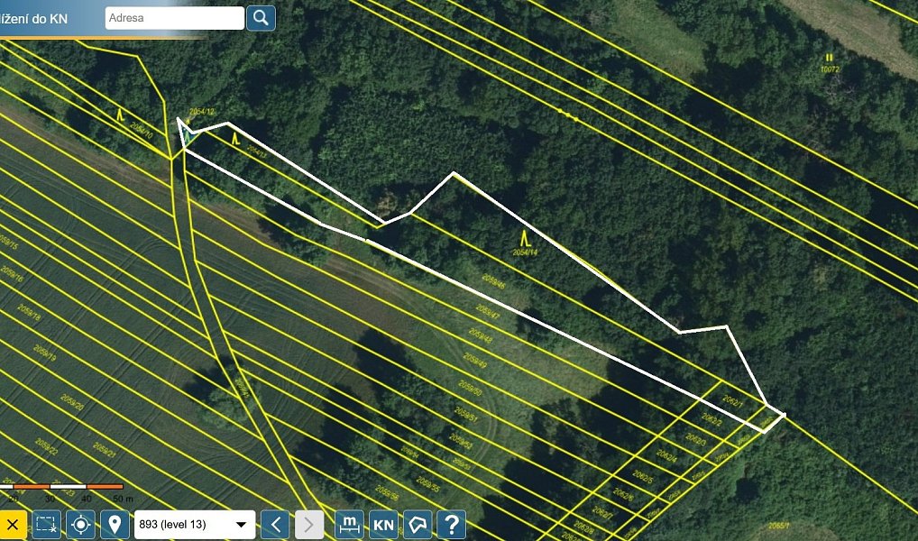Prodej lesa 2 795 m², Mikulčice – náhled fotky 2