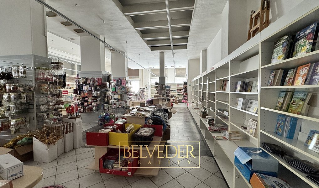 Pronájem obchodních prostor 441 m², Teplice – náhled fotky 9