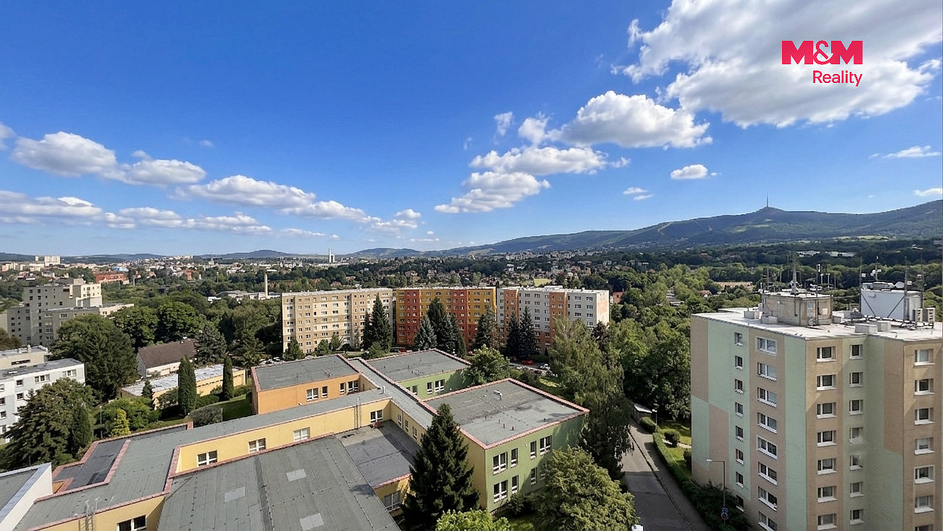 Pronájem bytu 1+kk 38 m² - Widok 4