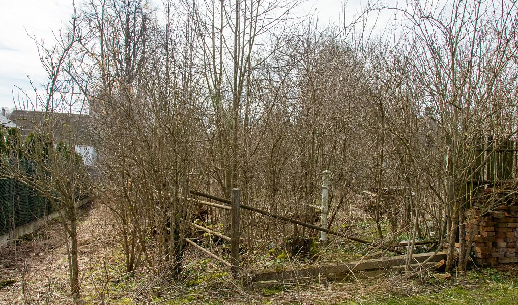 Prodej chalupy 163 m² s pozemkem 642 m², Paseka – náhled fotky 6