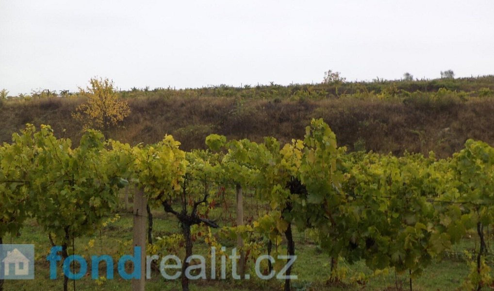Prodej pozemku 4 541 m², Morkůvky – náhled fotky 3