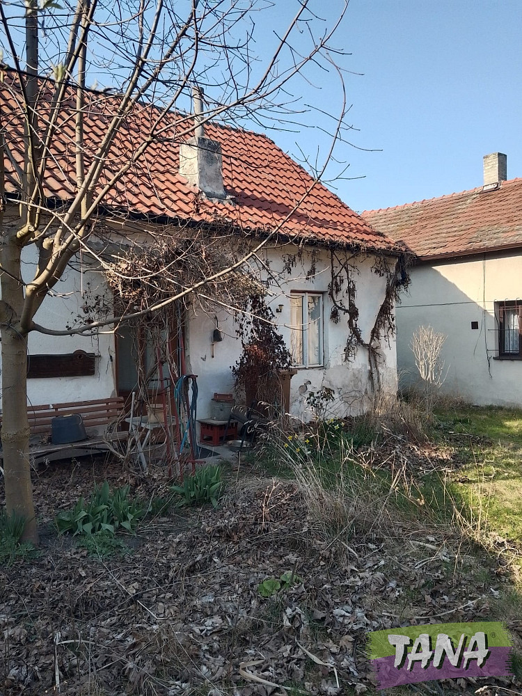Prodej domu 145 m² s pozemkem 3 028 m² – fotografie 5