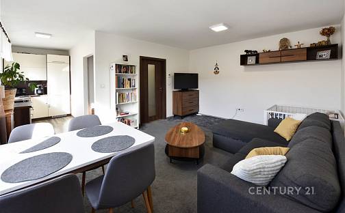 Prodej bytu 3+kk 62 m², Cejle, okres Jihlava