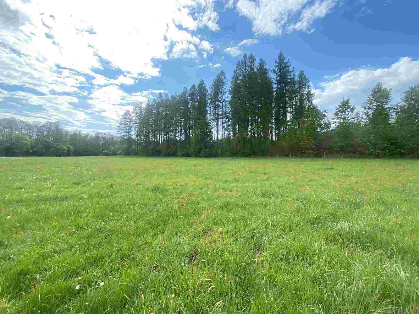Prodej pozemku 7 130 m² – fotografie 2