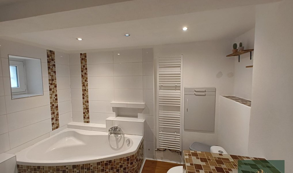 Pronájem domu 200 m² s pozemkem 1 301 m², Bor – náhled fotky 7