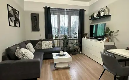 Prodej bytu 2+kk 46 m², Čankovská, Karlovy Vary - Rybáře