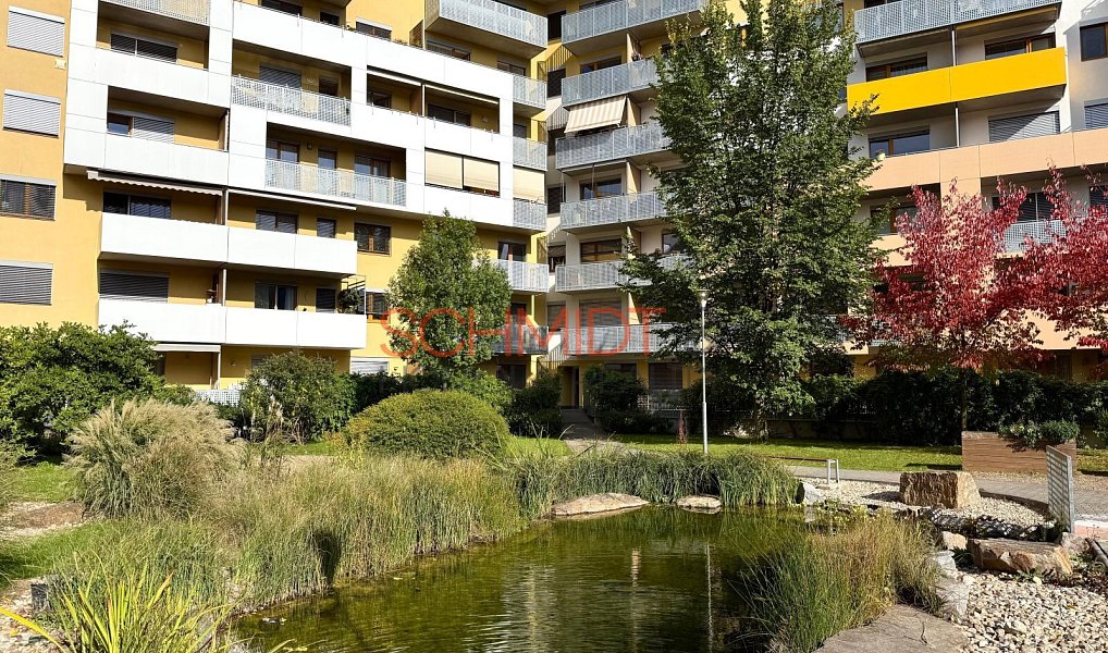 Pronájem bytu 2+kk, 53 m², Žabovřesky - Brno-město, Brno