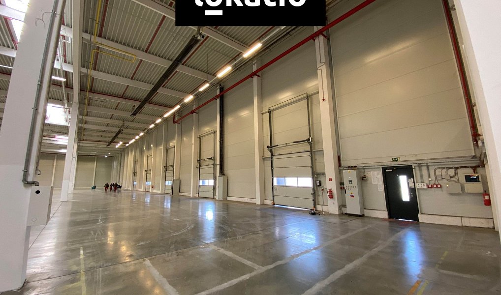 Pronájem skladovacích prostor 11 400 m², Olomouc – náhled fotky 4