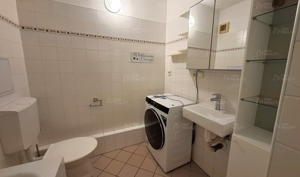 Pronájem bytu 1+kk 28 m², Hradec Králové – náhled fotky 6