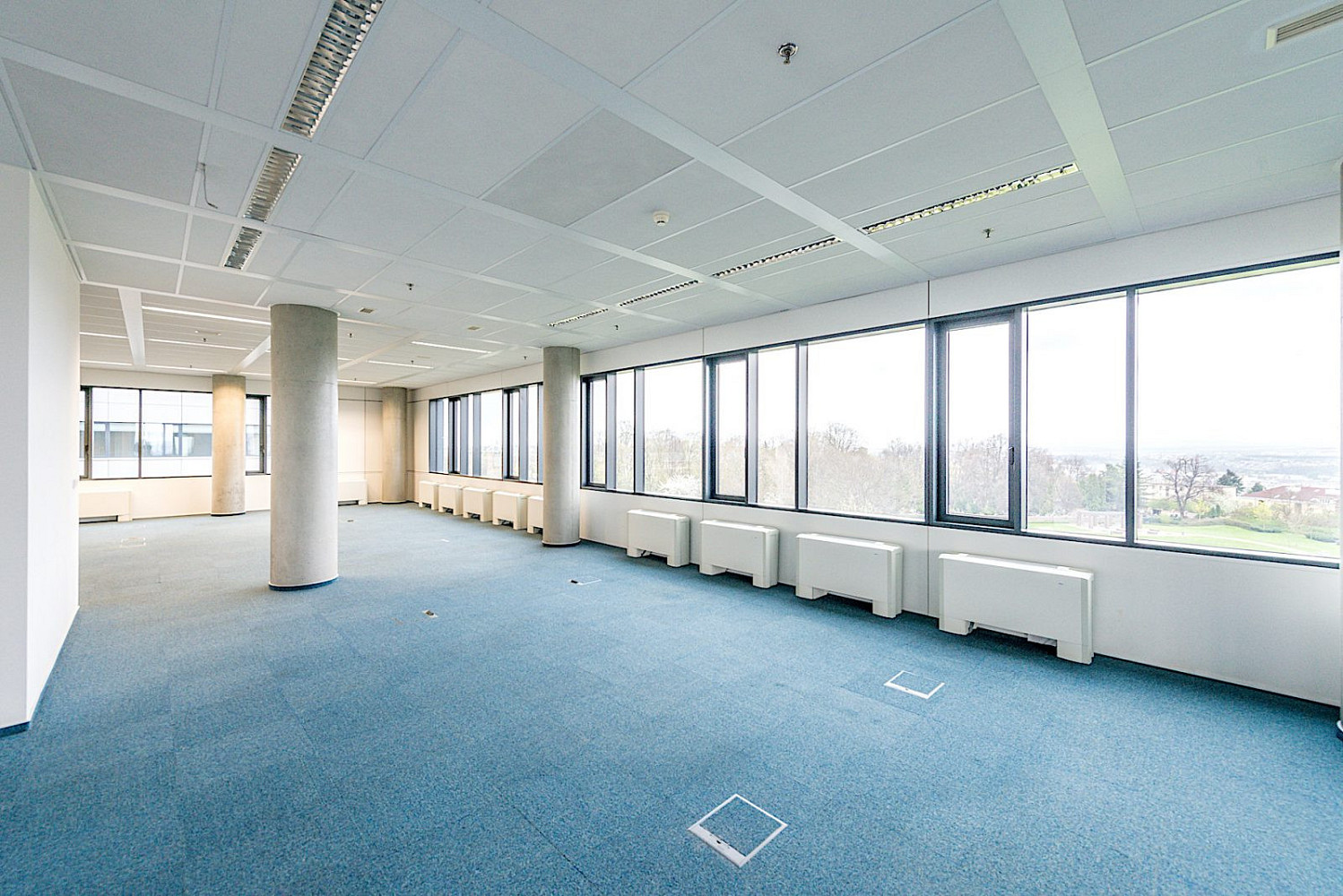 Pronájem kanceláře 303 m² – fotografie 3