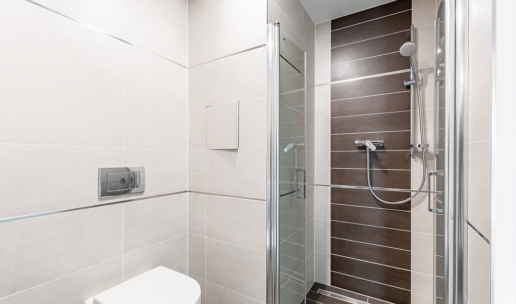 Pronájem bytu 1+kk 35 m², Praha – náhled fotky 4