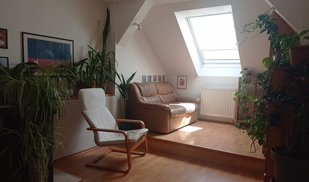 Prodej domu 140 m² s pozemkem 296 m², Klentnice – náhled fotky 10