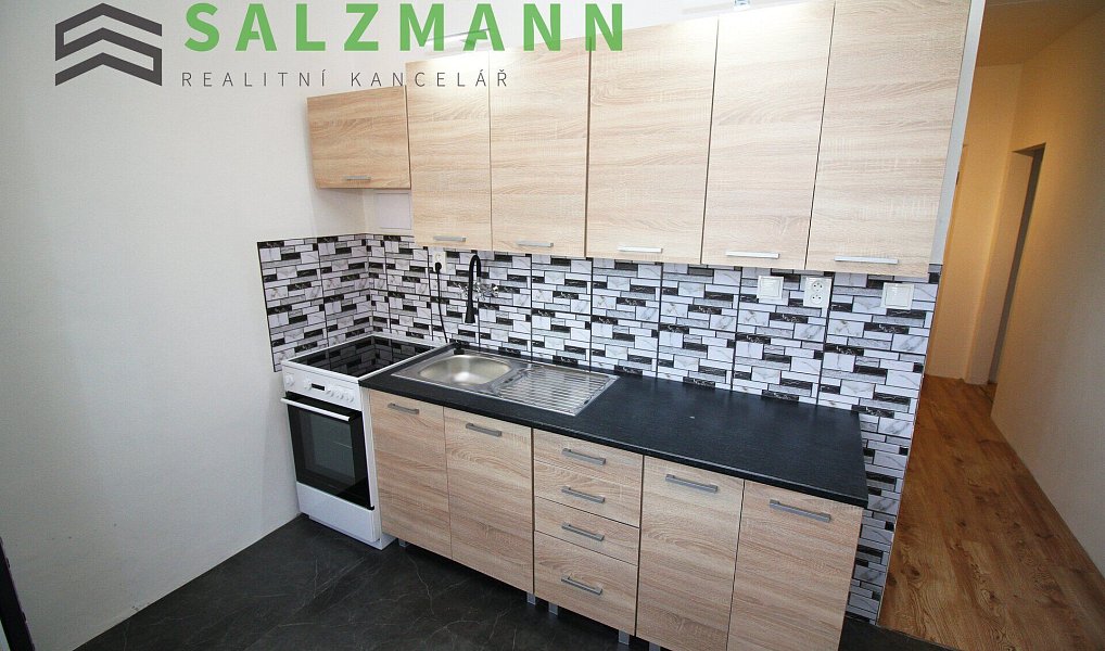 Pronájem bytu 3+1 62 m², Plzeň – náhled fotky 2
