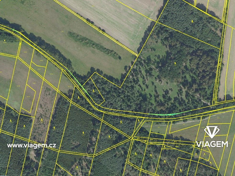 Prodej lesa 1 999 m² – fotografie 3