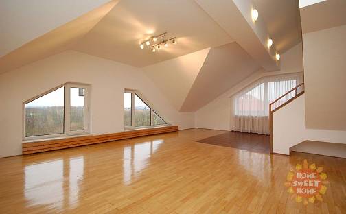 Pronájem bytu 6+kk 293 m², Psohlavců, Praha 4 - Braník
