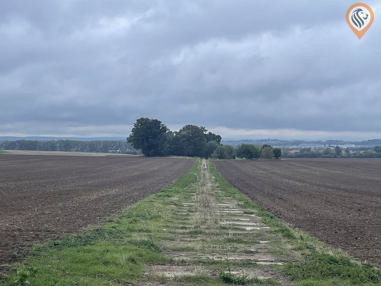 Fotka 15 z 17