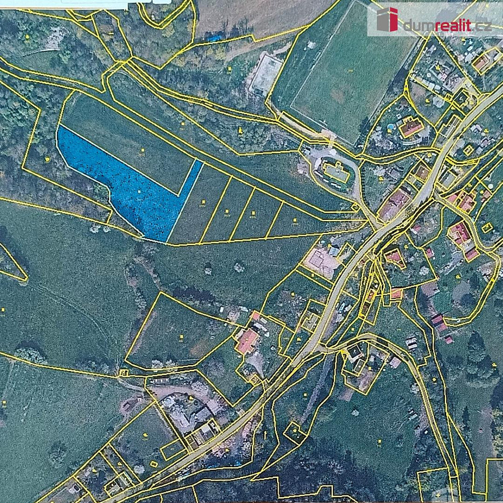 Fotka 9 z 10