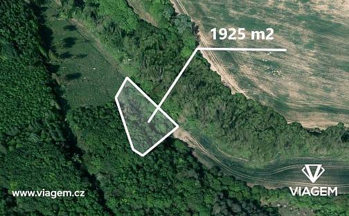 Prodej lesa 401 m², Kyjov, okres Hodonín