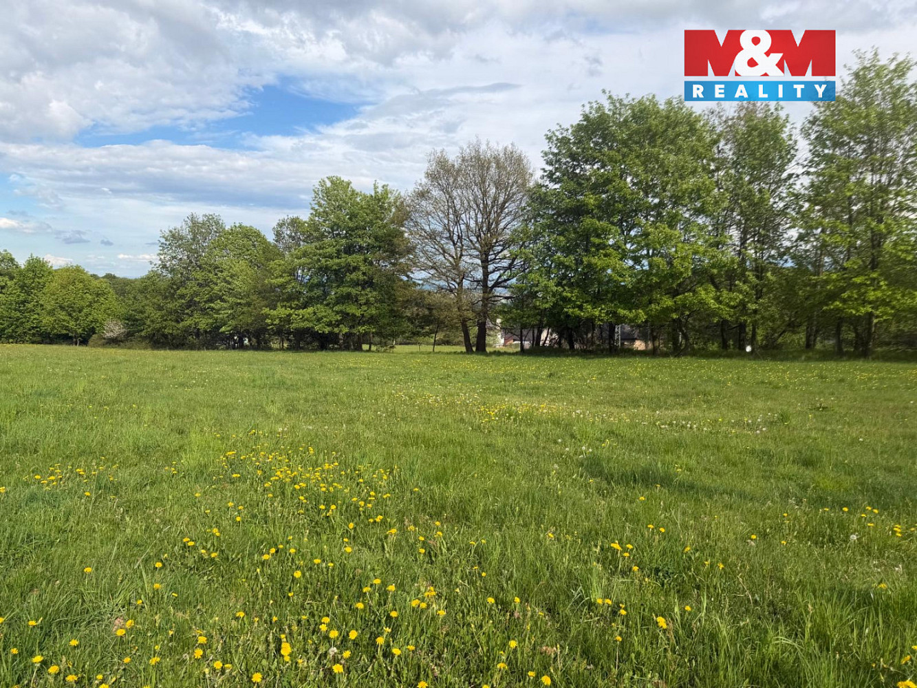 Prodej louky 41 016 m² — photo 4