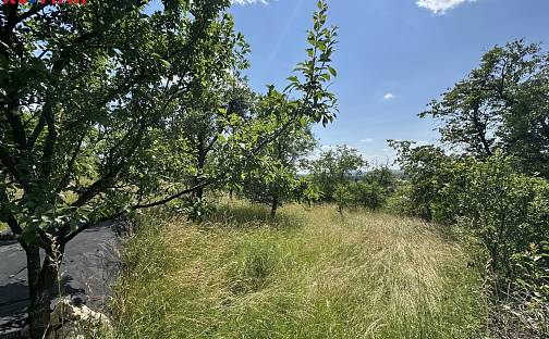 Prodej zahrady 539 m², Slavkov u Brna, okres Vyškov