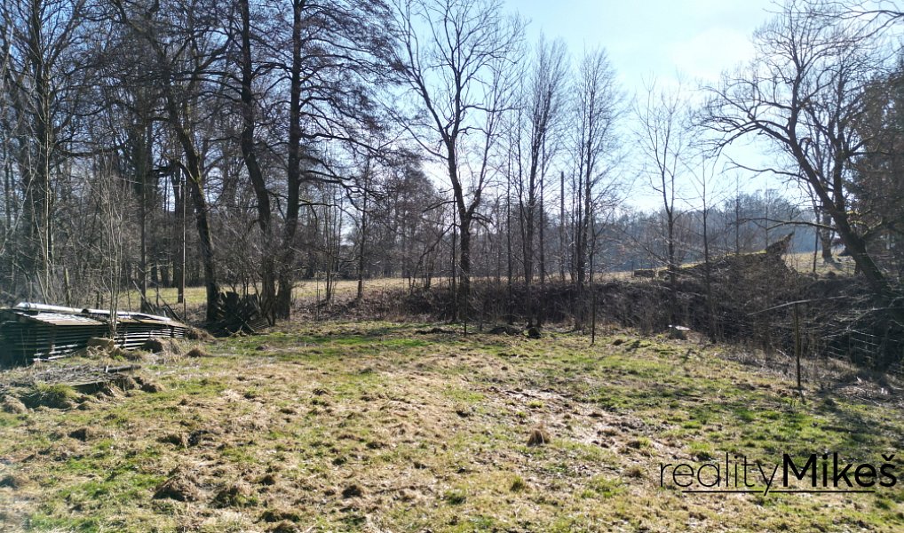 Prodej domu 168 m² s pozemkem 2 359 m², Křižany – náhled fotky 5
