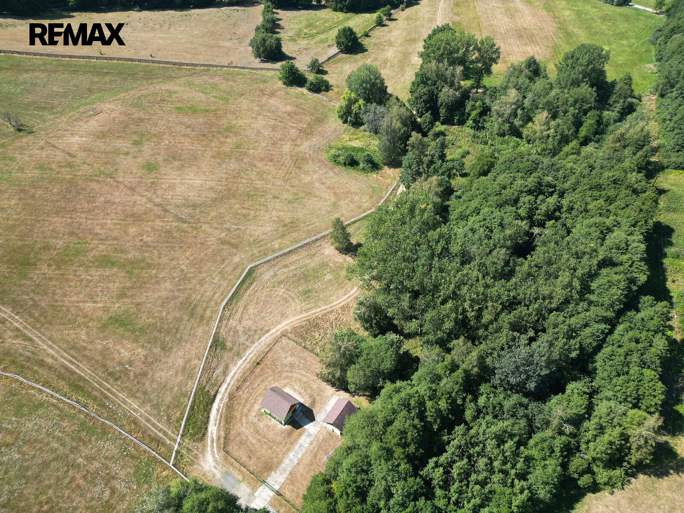 Prodej lesa 1 690 m² – fotografie 4