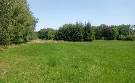 Prodej stavebního pozemku 8 165 m², Vyžice, okres Chrudim