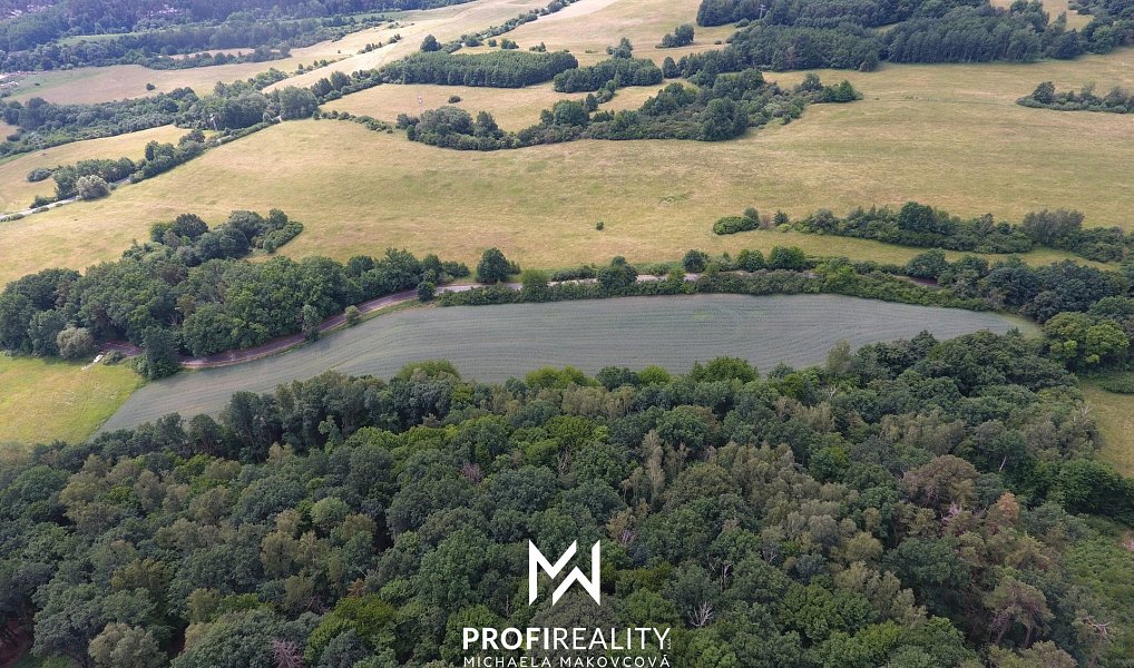Prodej pole 30 547 m², Stružnice – náhled fotky 14
