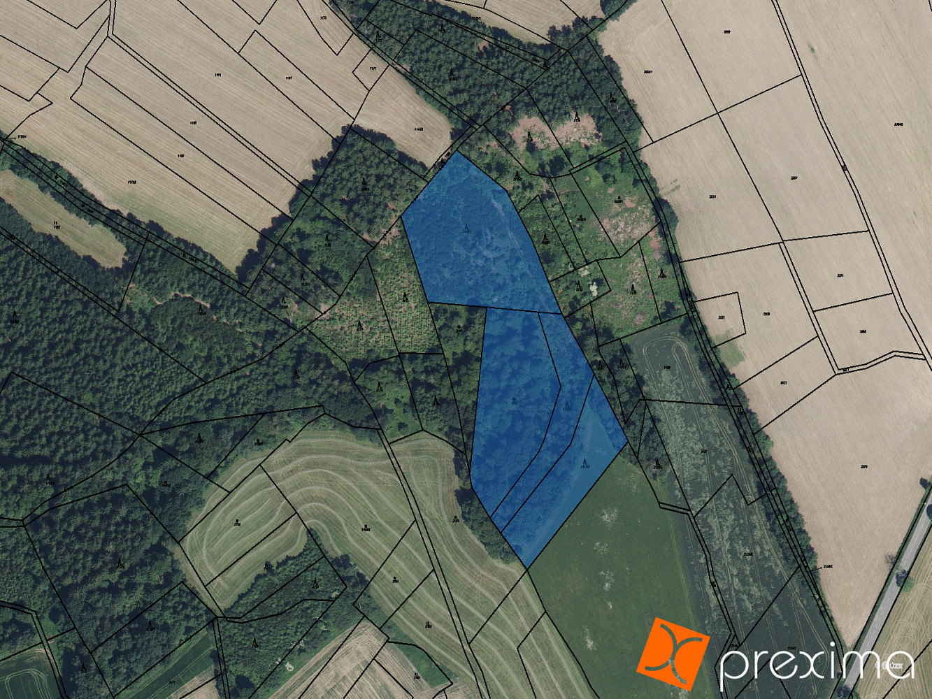 Prodej lesa 2 496 m²