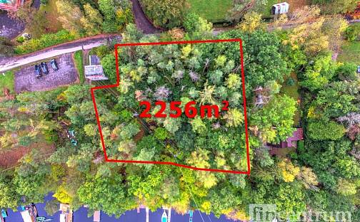 Prodej lesa 2 256 m², Slapy, okres Praha-západ